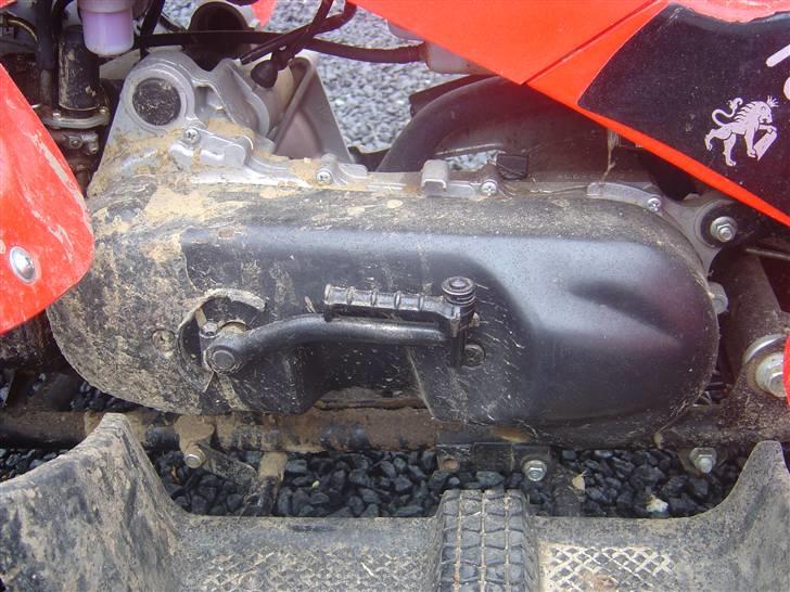 Barossa atv billede 8