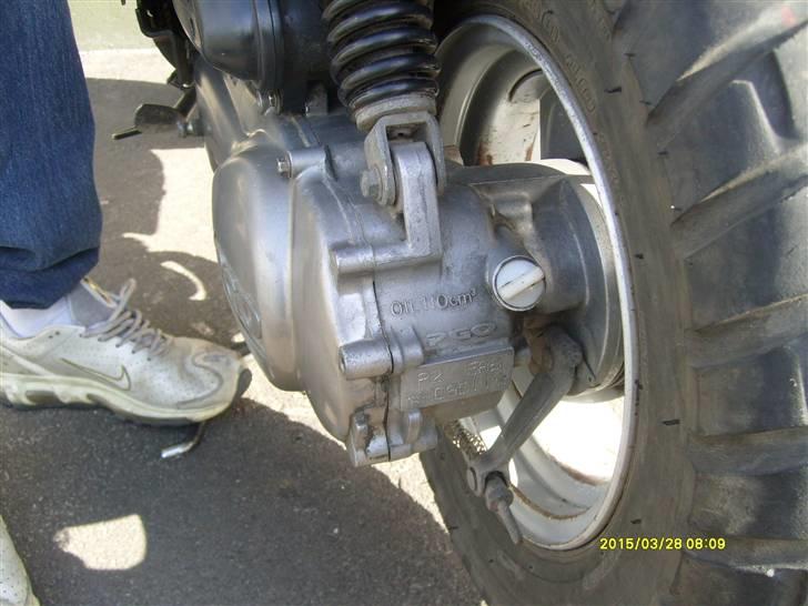 PGO hot 50  - lige gjort ren :D billede 3