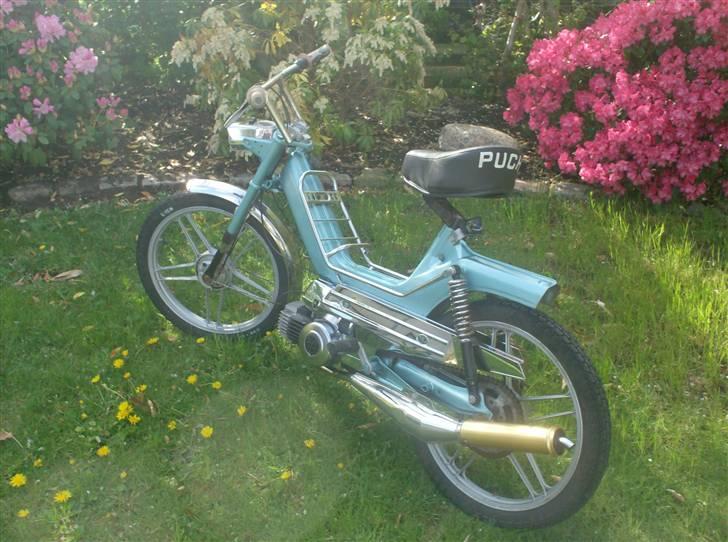 Puch Maxi KL. billede 5