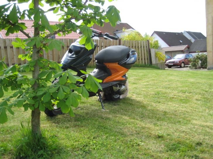 PGO Hot Rox væk billede 3