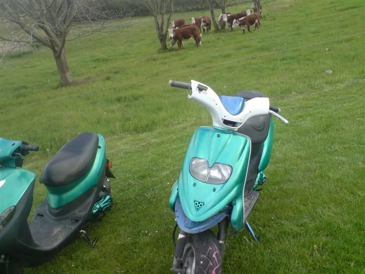 Gilera Stalker byttet til jog billede 20