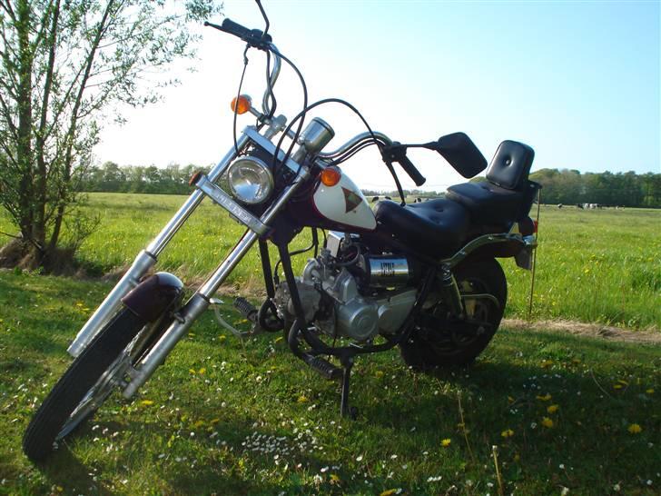 Kinroad regal raptor (væk) billede 1