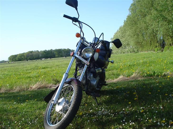 Kinroad regal raptor (væk) billede 2