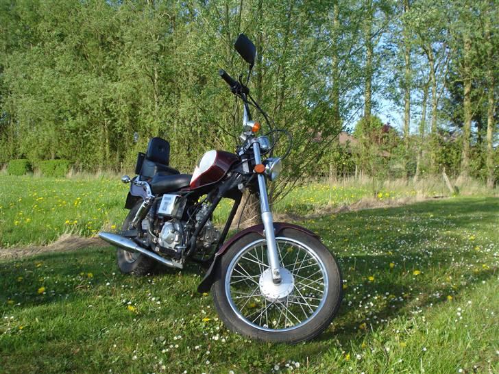 Kinroad regal raptor (væk) billede 3