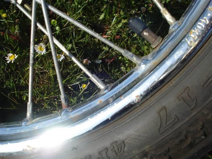 Kinroad regal raptor (væk) billede 4