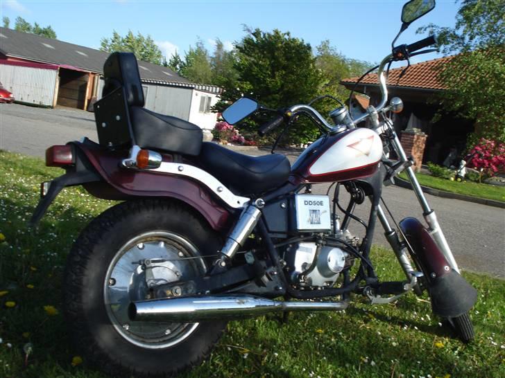 Kinroad regal raptor (væk) billede 5