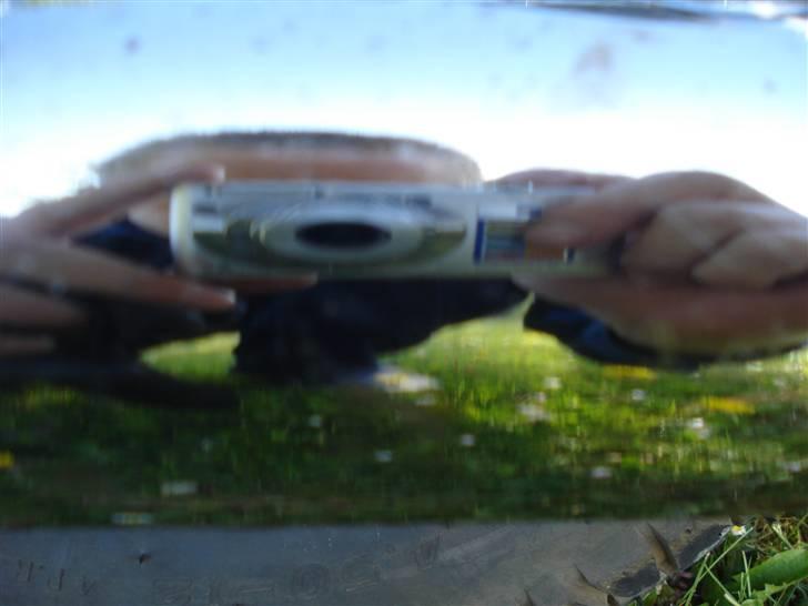 Kinroad regal raptor (væk) billede 6