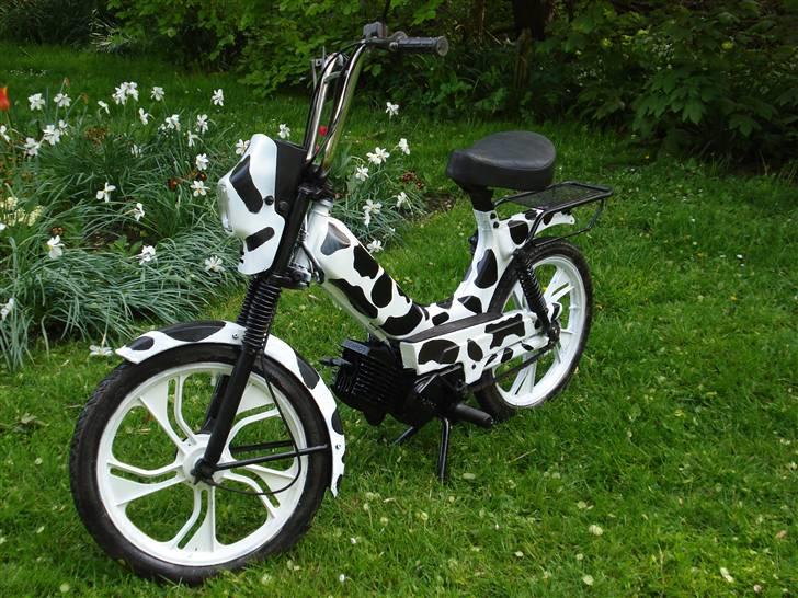 Tomos Quadro+ 97 billede 1