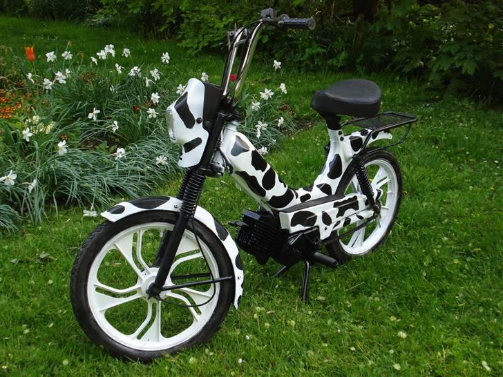 Tomos Quadro+ 97 billede 2