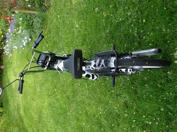 Tomos Quadro+ 97 billede 6