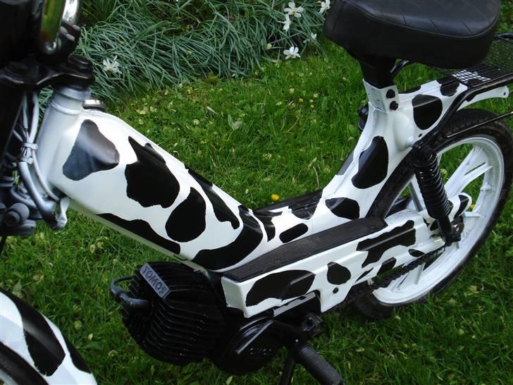 Tomos Quadro+ 97 billede 10