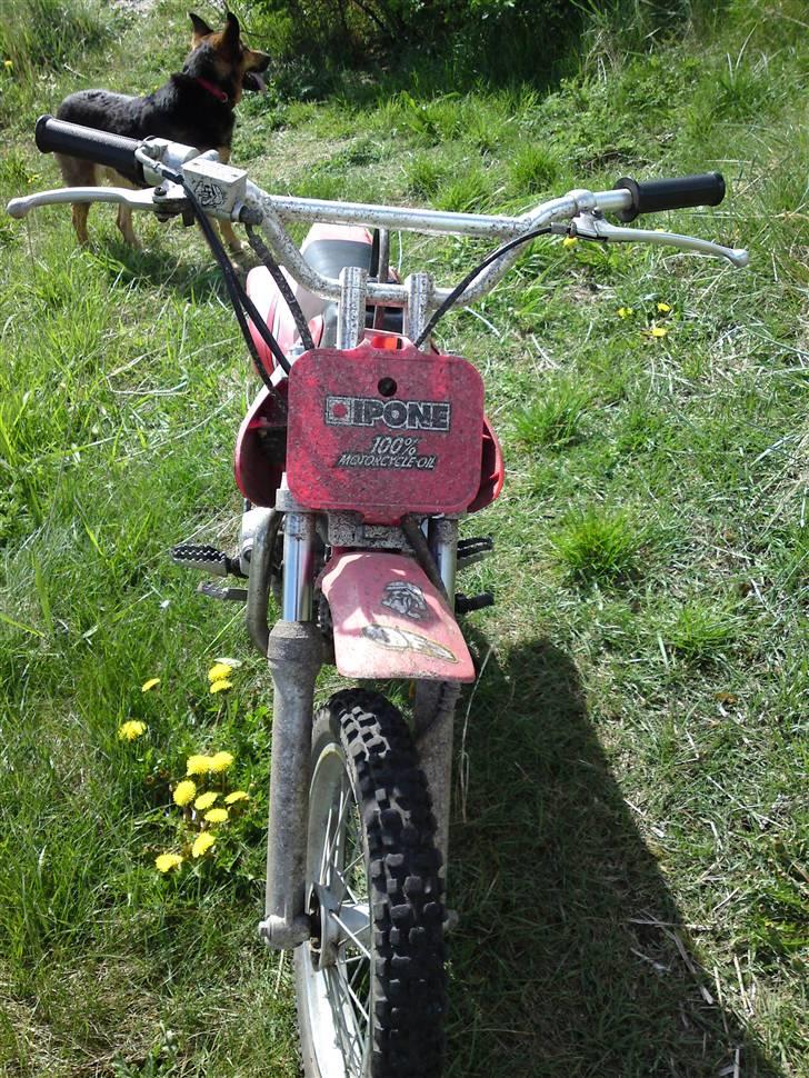 Sym FY11DEY - Taget med Sony Ericsson c905 med 8,1 megapixel :) billede 19