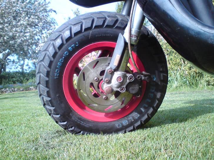 Piaggio Typhoon [SOLGT] billede 9