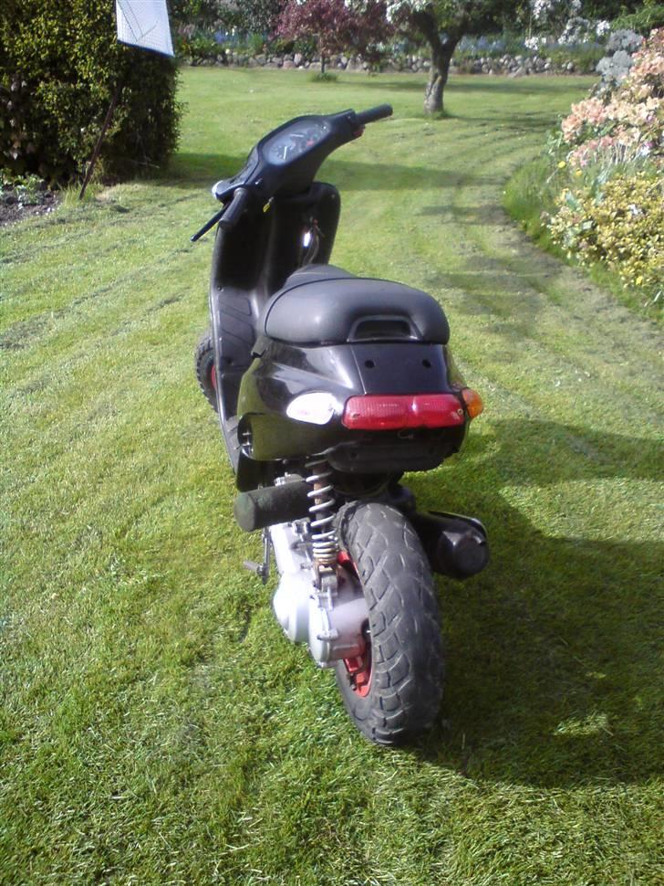 Piaggio Typhoon [SOLGT] billede 10