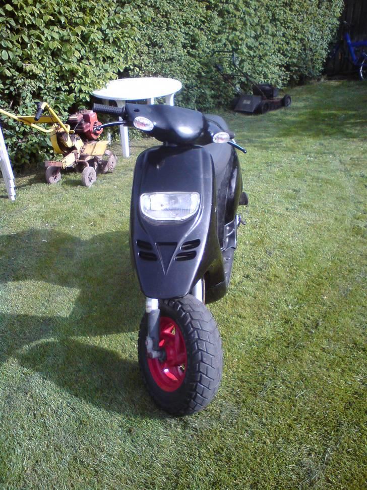 Piaggio Typhoon [SOLGT] billede 11