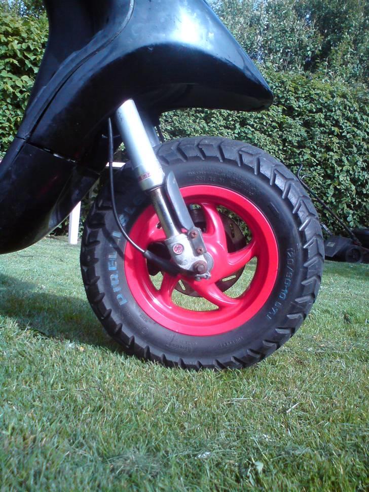 Piaggio Typhoon [SOLGT] billede 17