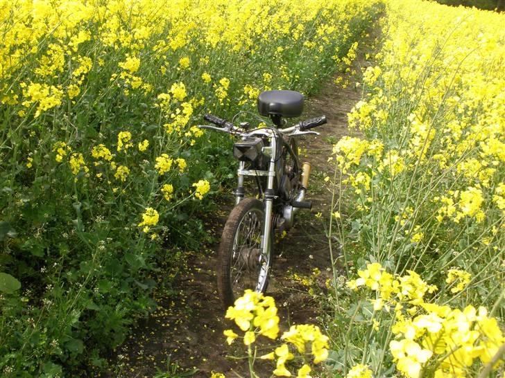 Puch maxi k solgt billede 5