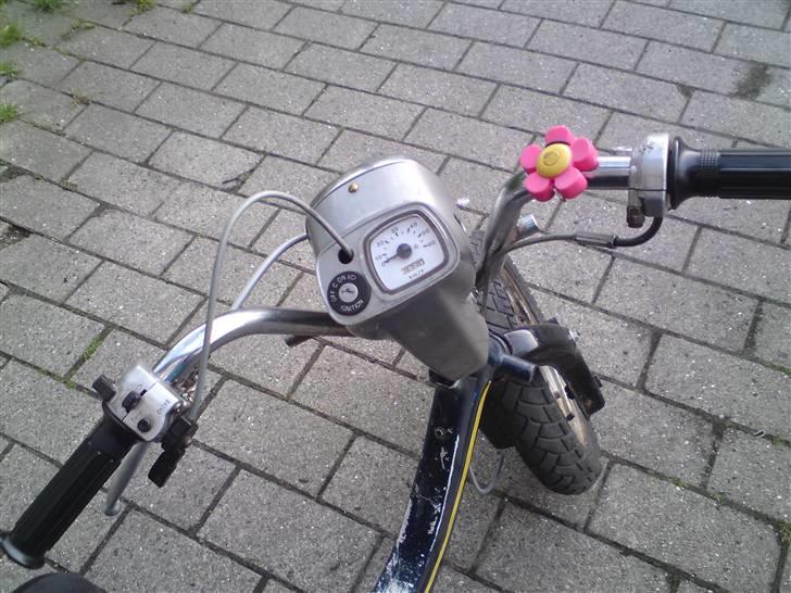 Suzuki FZ50 billede 4