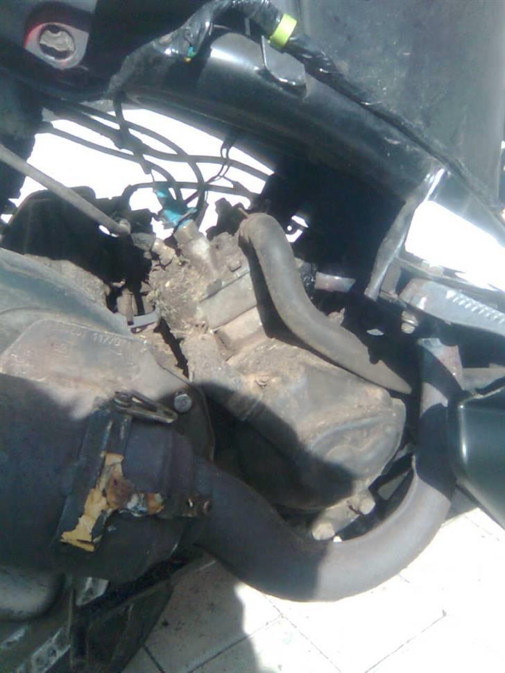 Peugeot Speedie LC DD billede 6