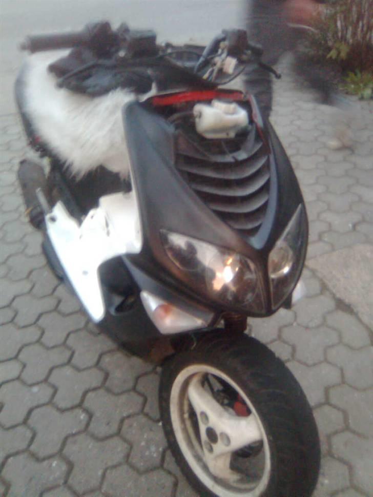 Peugeot Speedie LC DD billede 10