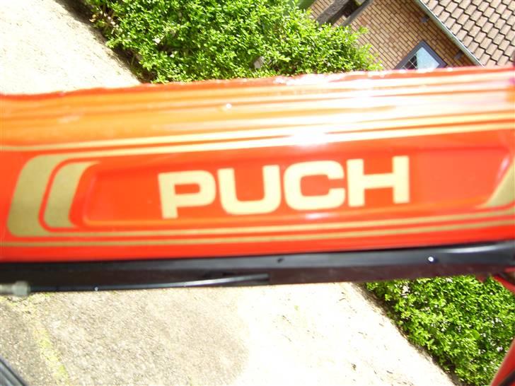 Puch Maxi p billede 9