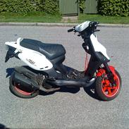 PGO PMX NO FEAR (SOLGT)