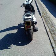 PGO PMX NO FEAR (SOLGT)