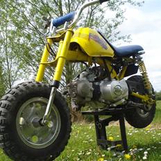 MiniBike 50ccm blueberry ac 