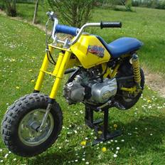 MiniBike 50ccm blueberry ac 