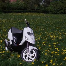 Gilera Stalker Solgt