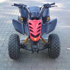 Lifan ATV 110 ccm