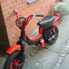 Suzuki Fz50