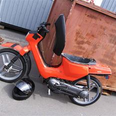 Honda Wallaroo AC ND Athena