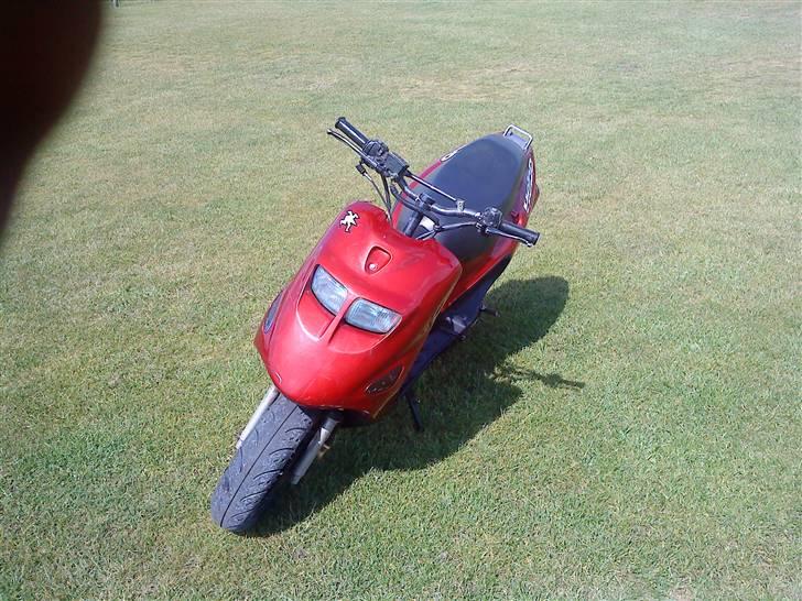 Kreidler Easy Rider billede 2