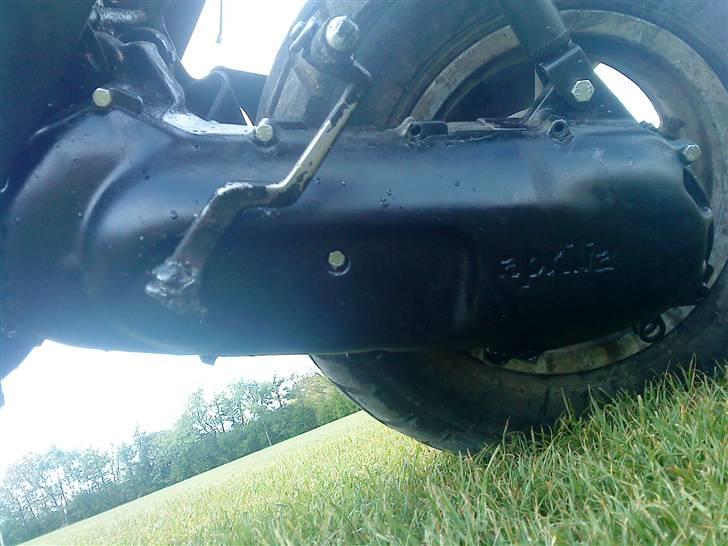 Kreidler Easy Rider billede 8