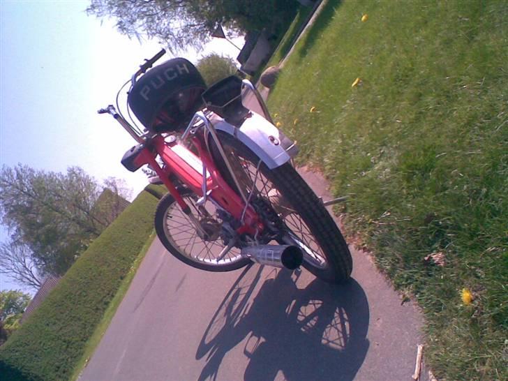 Puch Maxi k  - Nyt billede 15