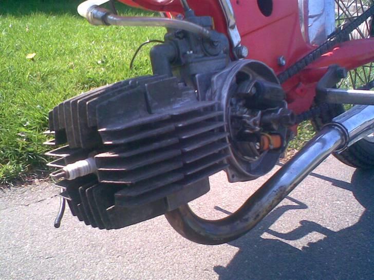 Puch Maxi k  - Nyt billede 16