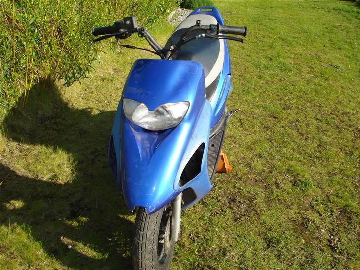 Honda SFX [ SexY] billede 2