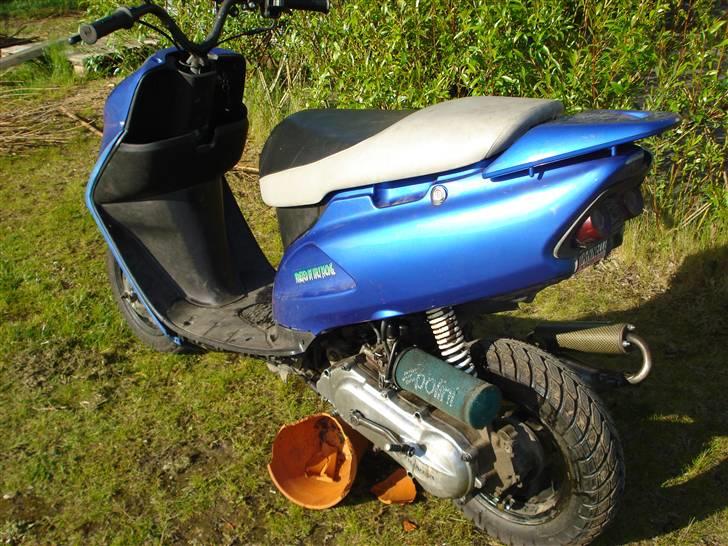 Honda SFX [ SexY] billede 3