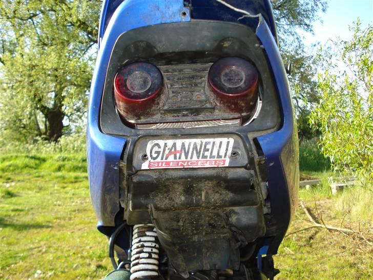 Honda SFX [ SexY] billede 4