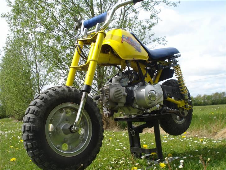 MiniBike 50ccm blueberry ac  billede 1