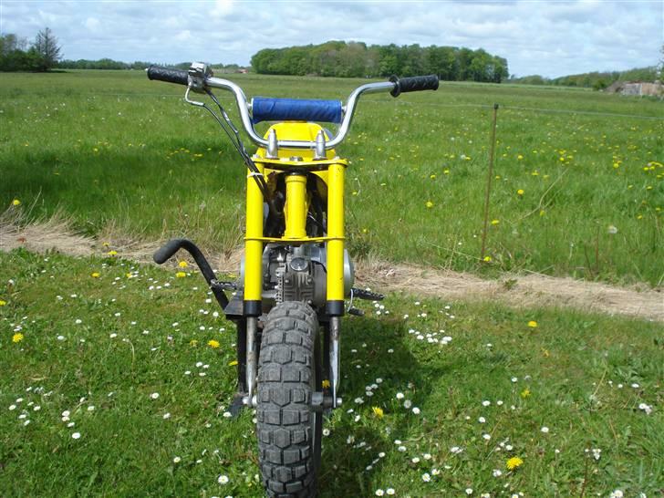 MiniBike 50ccm blueberry ac  billede 4