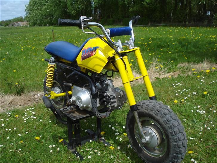 MiniBike 50ccm blueberry ac  billede 5