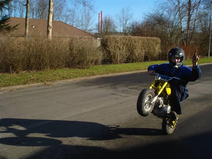 MiniBike 50ccm blueberry ac  billede 15