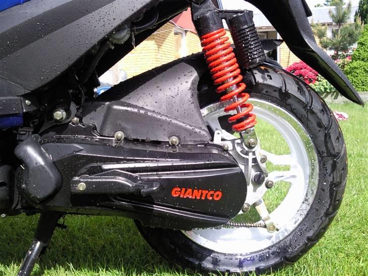 Giantco Spartan (TILSALG) billede 7