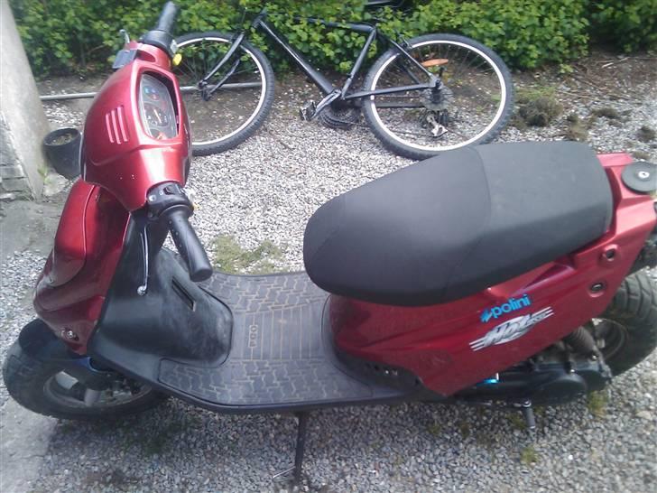 PGO Hot 50 *BYTTET* billede 4