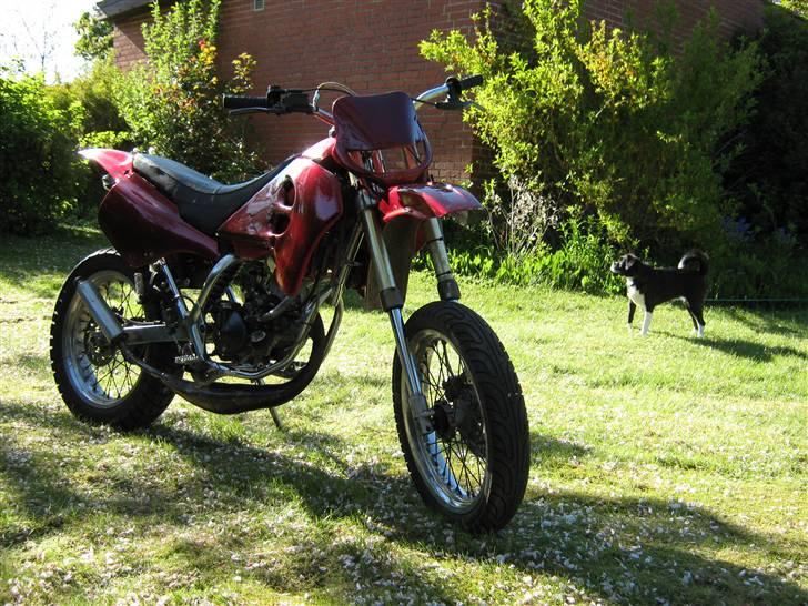 Suzuki Smx Revolution (Byttet) billede 8
