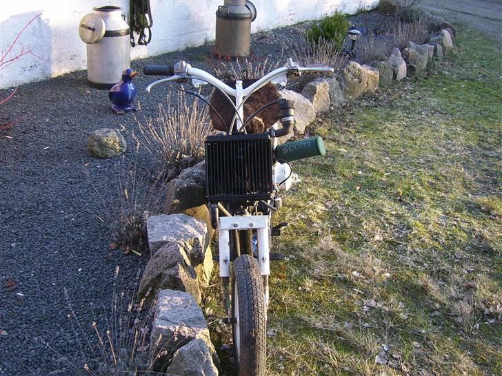 Yamaha passola billede 2