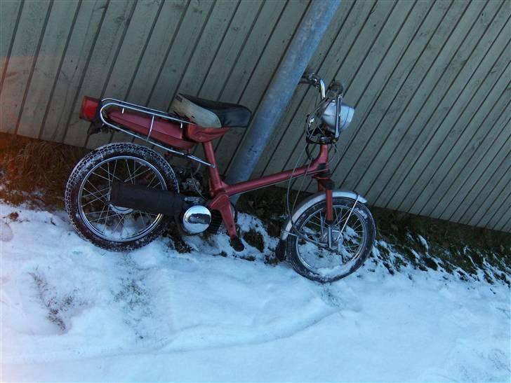 Honda Express SOLGT - dagen efter jeg fik den :D billede 10