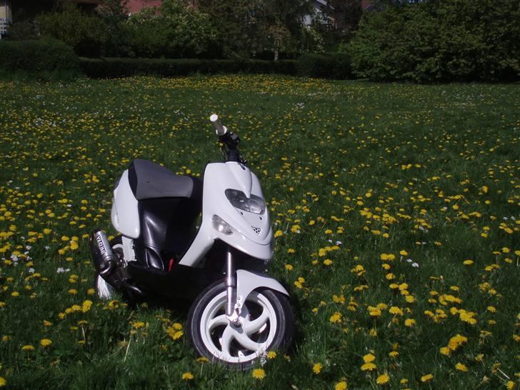 Gilera Stalker Solgt billede 2